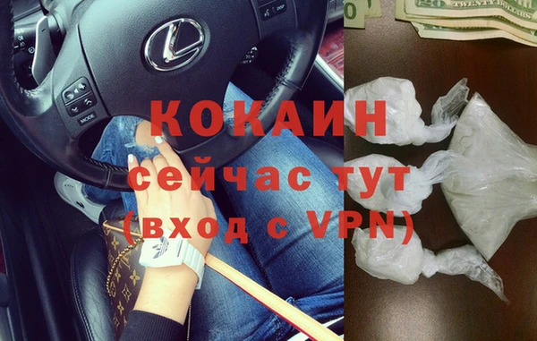 гашик Белокуриха