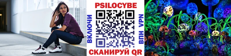 Псилоцибиновые грибы мицелий  Городец 