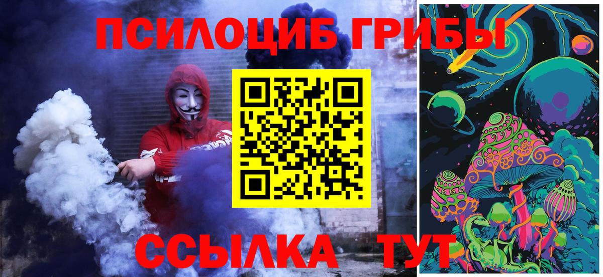 Городец  Псилоцибиновые грибы MAGIC MUSHROOMS  Вход с VPN 