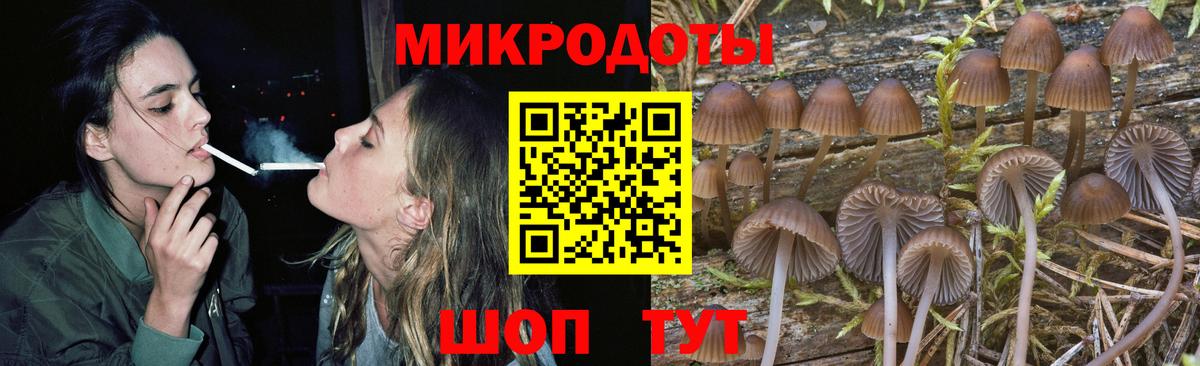 Галлюциногенные грибы Psilocybine cubensis Городец